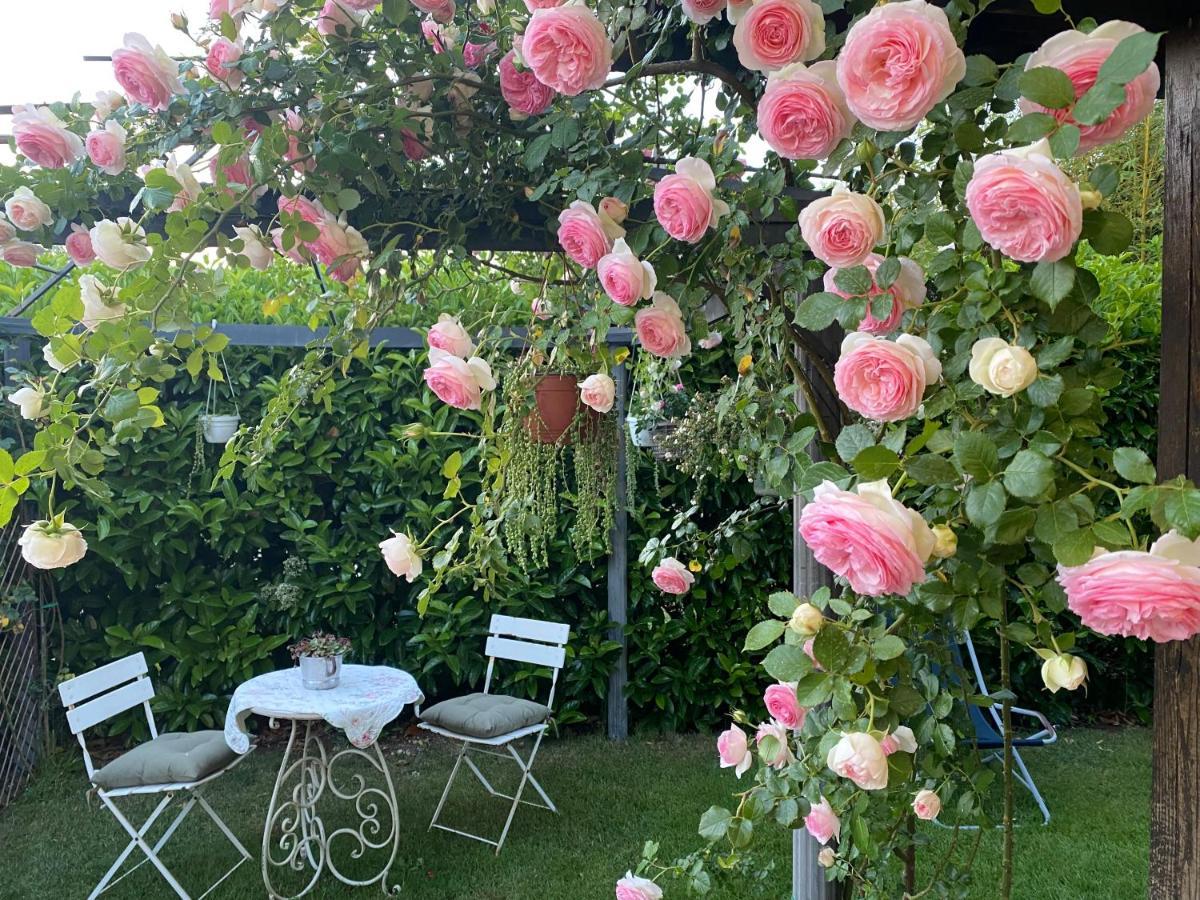 La Locanda Del Tevere 피아노로마노 외부 사진