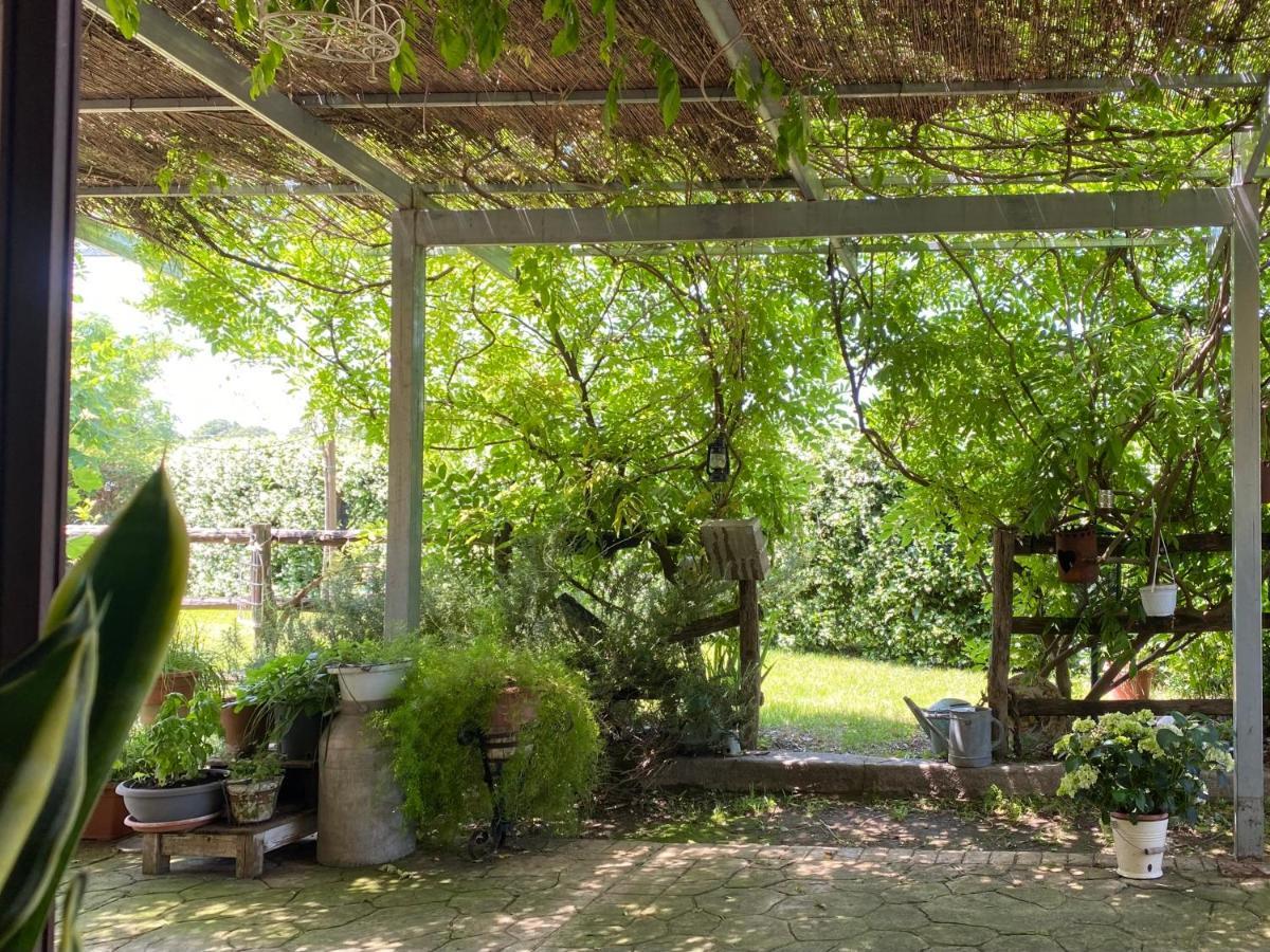 La Locanda Del Tevere 피아노로마노 외부 사진