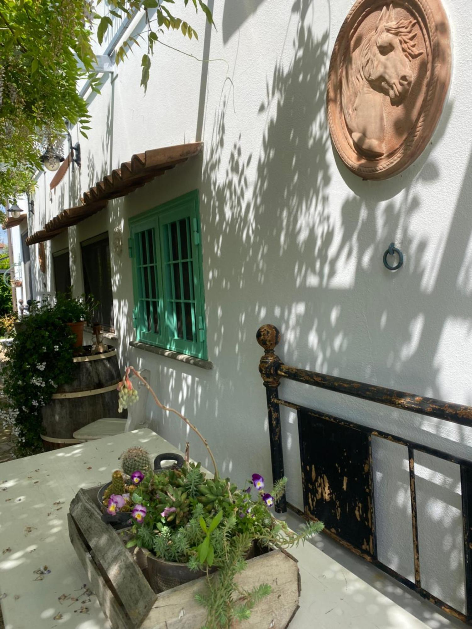 La Locanda Del Tevere 피아노로마노 외부 사진