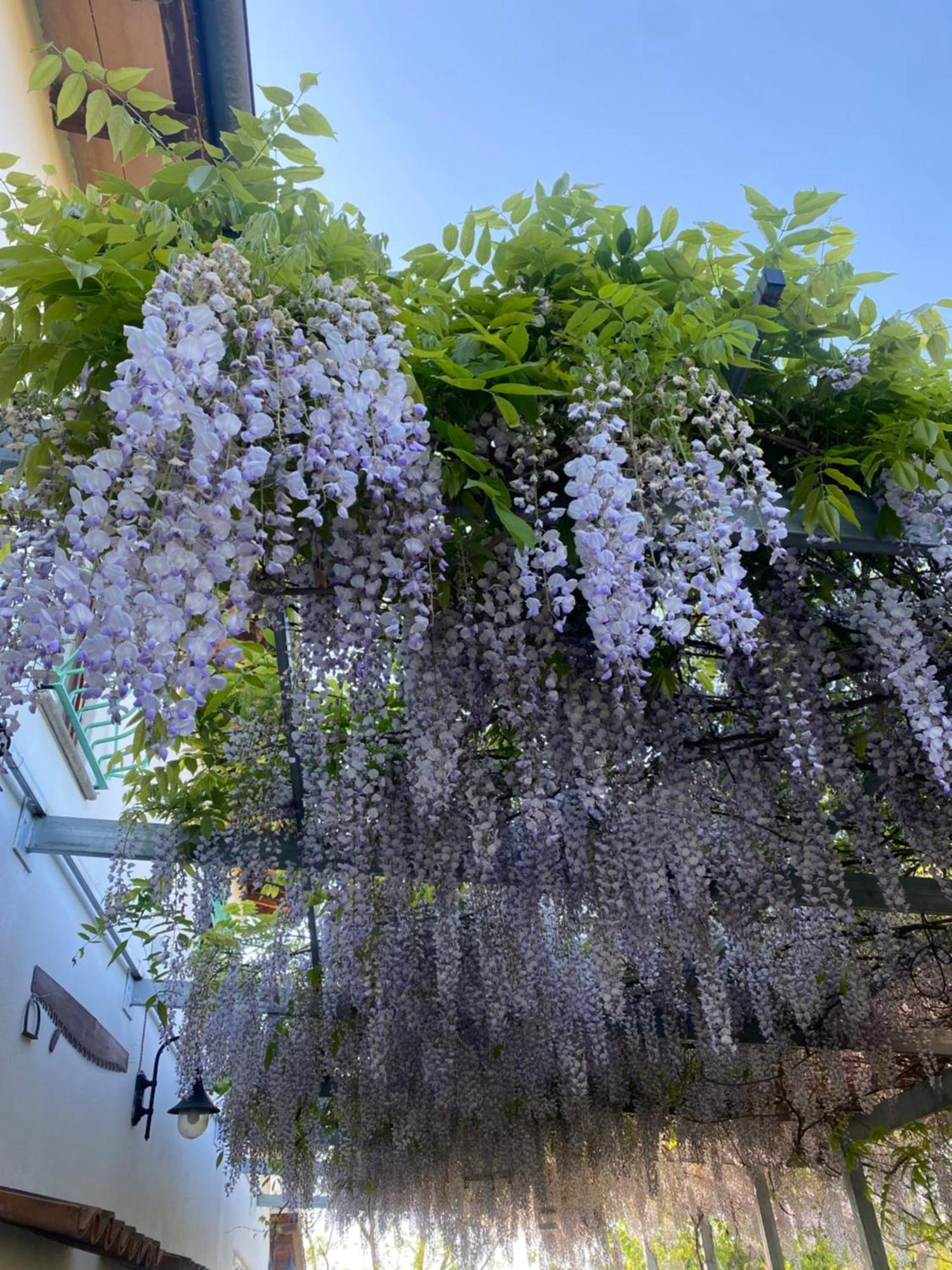 La Locanda Del Tevere 피아노로마노 외부 사진