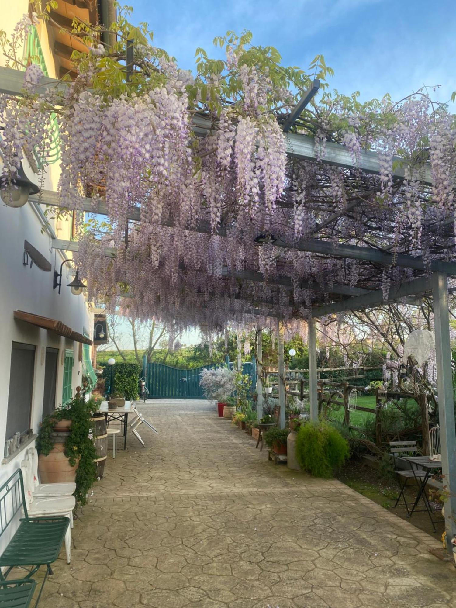 La Locanda Del Tevere 피아노로마노 외부 사진