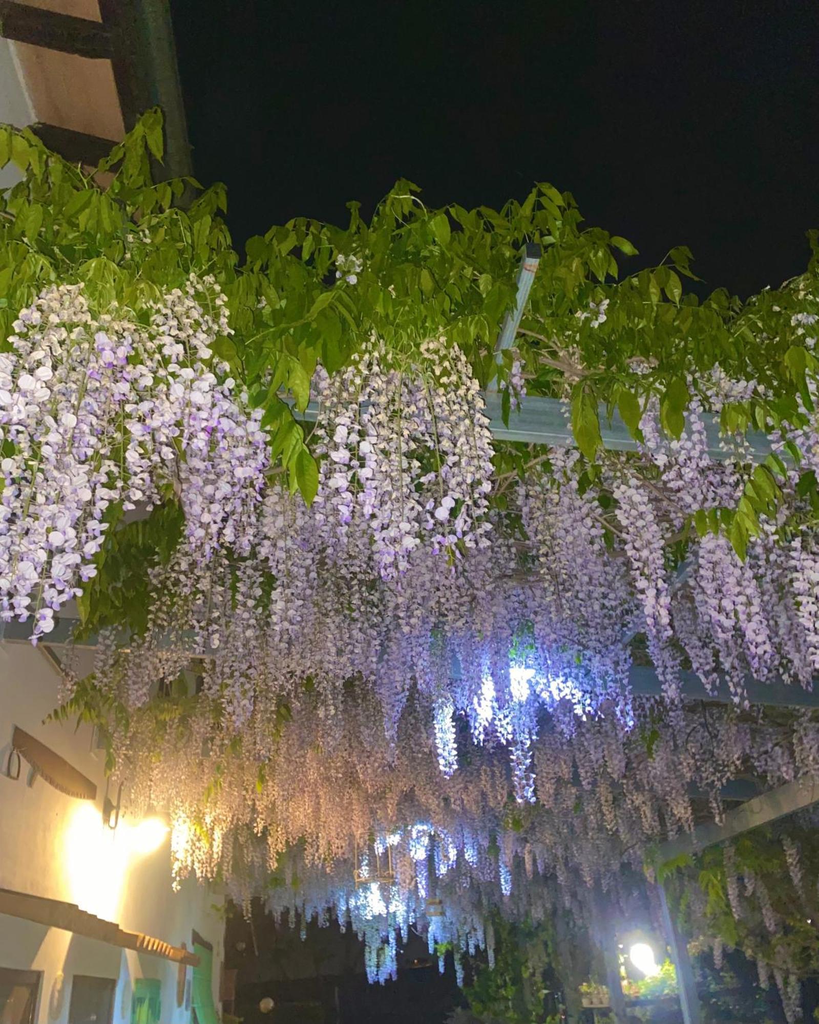 La Locanda Del Tevere 피아노로마노 외부 사진